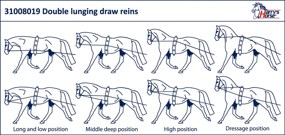 Phalanx Dochter Distilleren Harry's Horse Dubbele Longeerlijn - Longeren - ruitersporthoeve