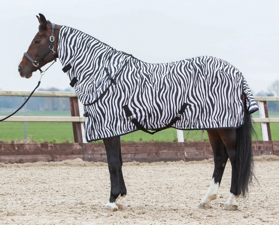 vrouw Snikken Intimidatie Harry's Horse Vliegendeken Zebra met losse hals - Vliegendekens -  ruitersporthoeve