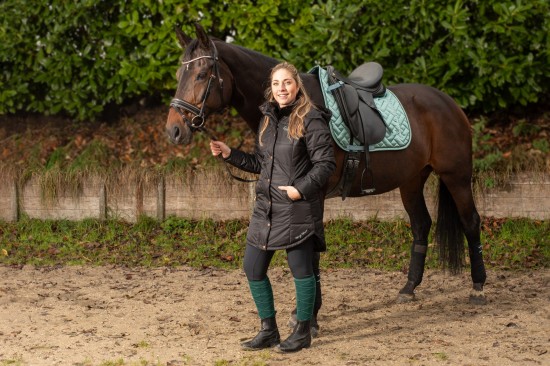 Harry's Horse Jas Kade