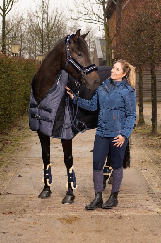 Harry's Horse Jas Luxe Jay