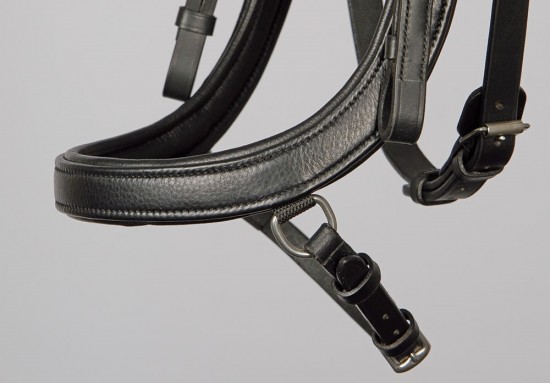 Harry's Horse Anatomic Crystal