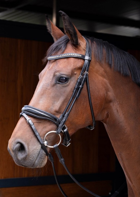 Harry's Horse Hoofdstel Rondgenaaid Lacque