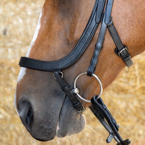 Harry's Horse Hoofdstel Anatomic Black Crystal