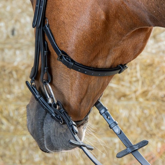 Harry's Horse Hoofdstel Anatomic Black Crystal