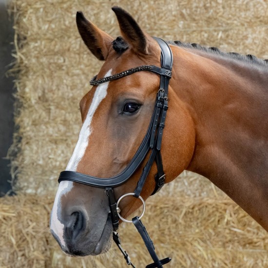 Harry's Horse Hoofdstel Anatomic Black Crystal