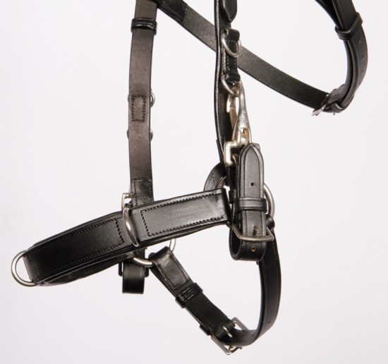 Harry's Horse Kaptoom Hoofdstel Leder