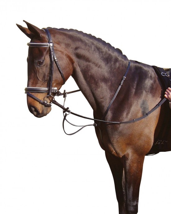 Harry's Horse Martingaal