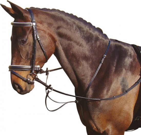 Harry's Horse Martingaal