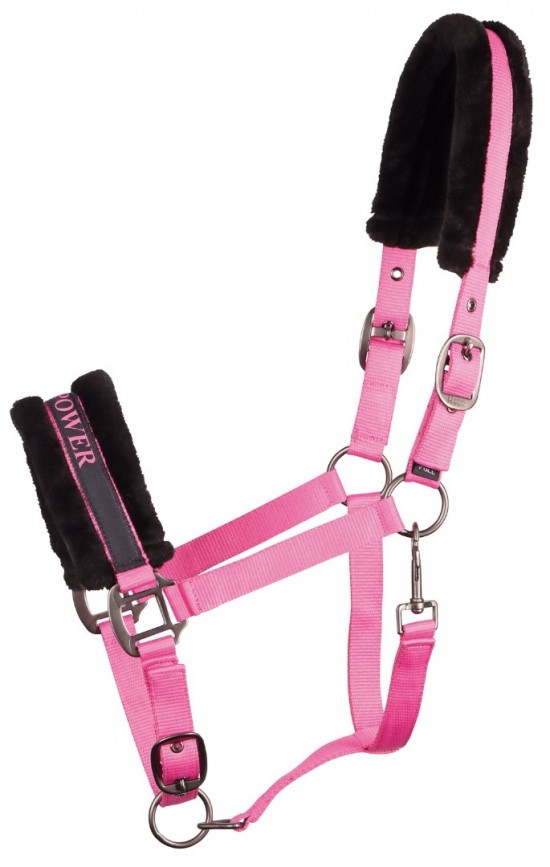 Harry's Horse Halster Lyrics Quotes Roze