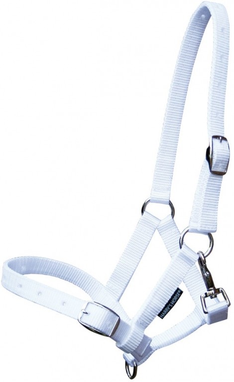 Harry's Horse Veulenhalster