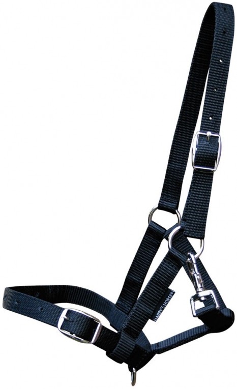 Harry's Horse Veulenhalster