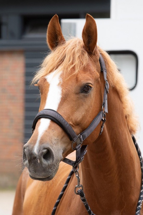 31002481thunderstorm 1