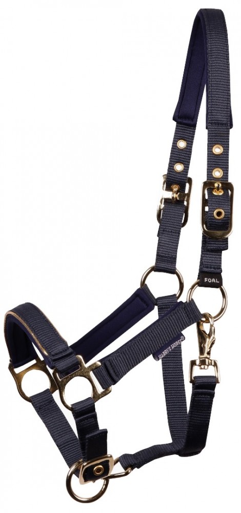 Harry's Horse Veulenhalster Pepper