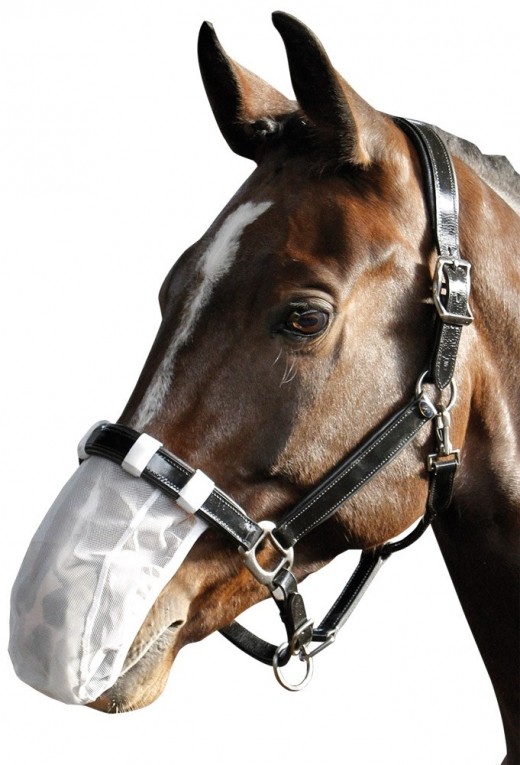 Harry's Horse Neusnetje, Wit