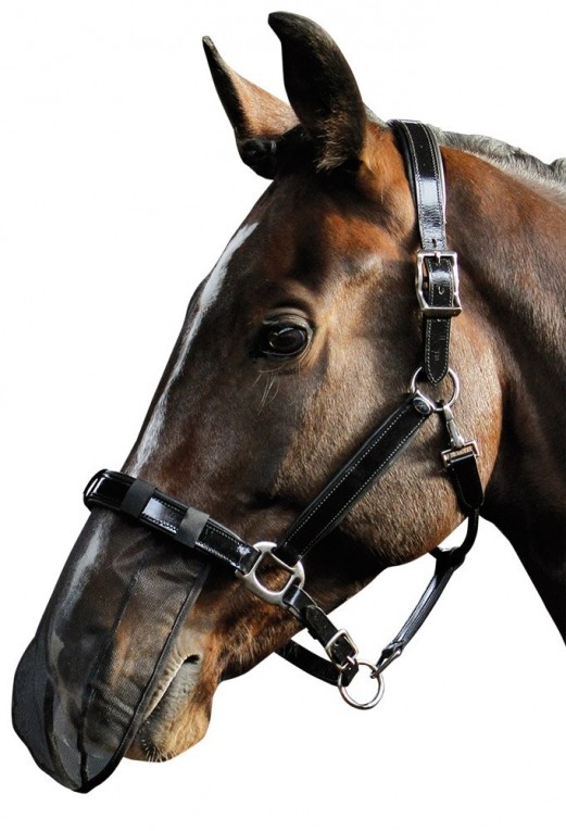 Harry's Horse Neusnetje, Zwart