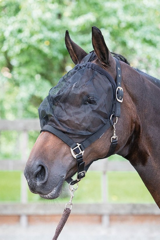 Harry's Horse Vliegenmasker Halster