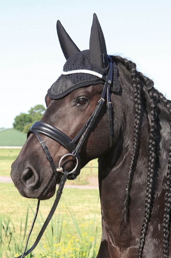 Harry's Horse Oornetje Silencer