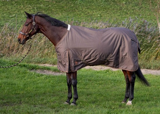 Harry's Horse Regendeken Thor 200gr.