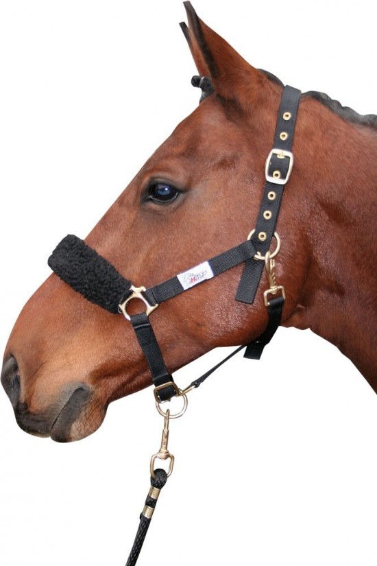 Harry's Horse Neusbontje Synthetisch, Zwart