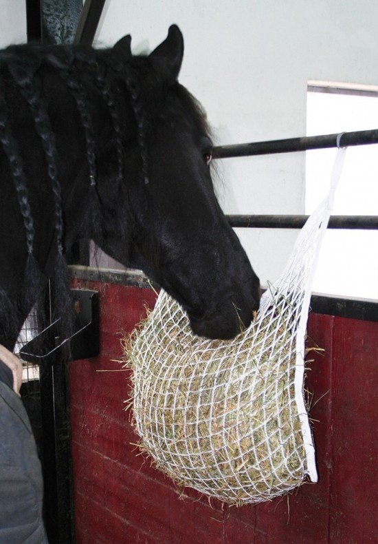 Harry's Horse Slow feeder