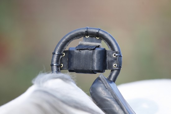 Birth Alarm Lite 2.0