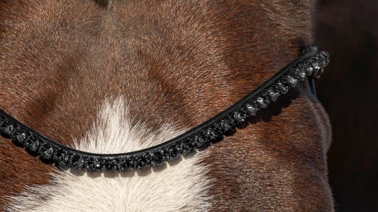 Graphite Crystals Frontriem