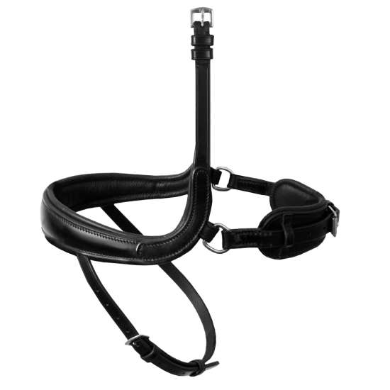 Passier Blu Spirit Hoofdstel Anatomic