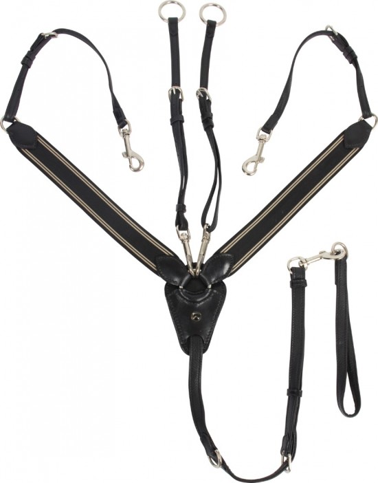 Catago Borsttuig met Martingaal