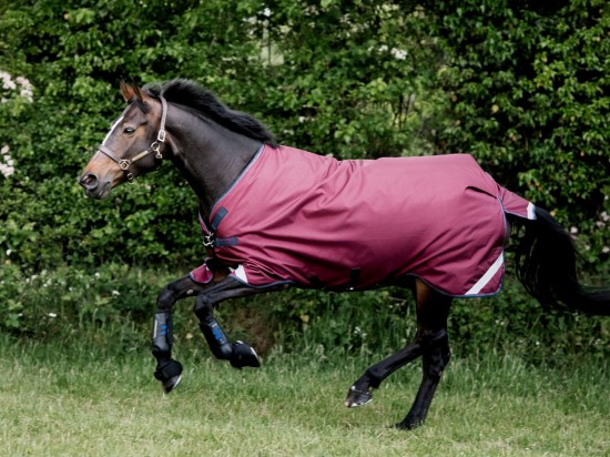 Rambo Original Lite Regendeken 0gr. Burgundy