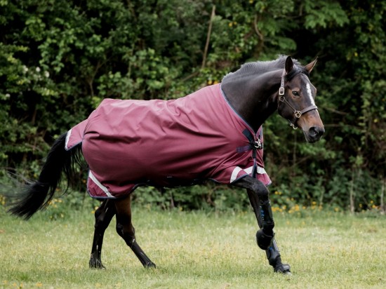 Rambo Original Lite Regendeken 0gr. Burgundy