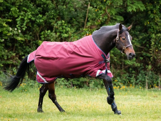 Rambo Original Lite Regendeken 0gr. Burgundy