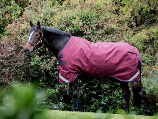 Rambo Original Lite Regendeken 0gr. Burgundy