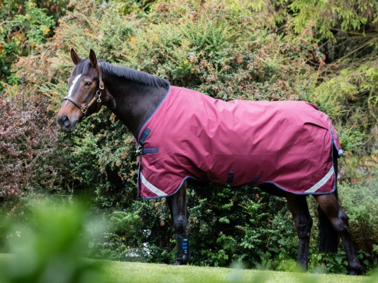 Rambo Original Lite Regendeken 0gr. Burgundy