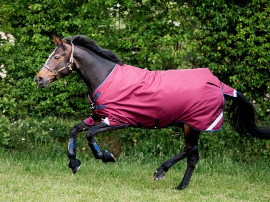 Rambo Original Lite Regendeken 0gr. Burgundy