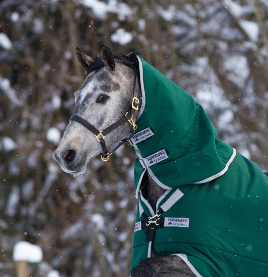 Rambo Original Halsstuk