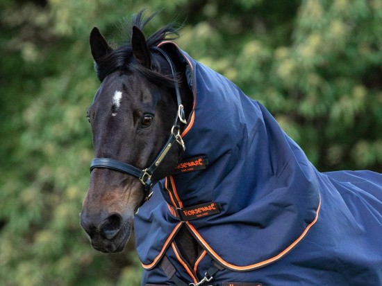 Rambo Original Hood, Hals 0gr. Navy/Orange