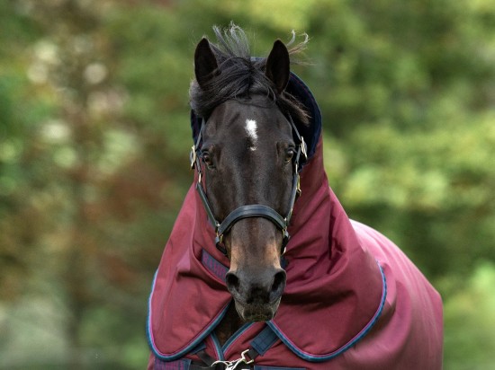 Rambo Original Hood, Hals 0gr. Burgundy