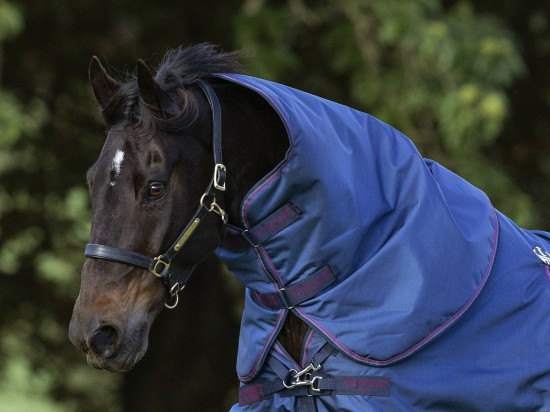 Rambo Optimo Hood, Hals 0gr.