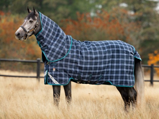 Navy Check/ Teal (geblokt)