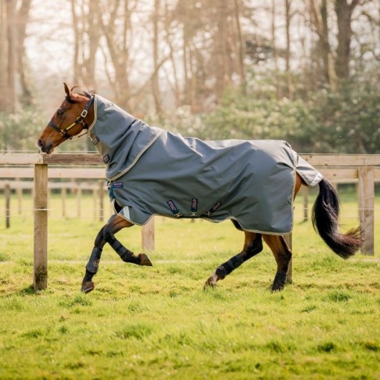 Amigo Bravo 12 Plus 0gr. Lite (inclusief hals) Shadow