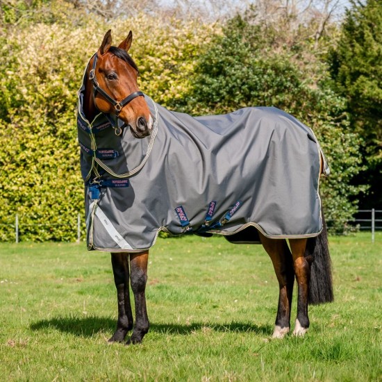 Amigo Bravo 12 Plus 0gr. Lite (inclusief hals) Shadow