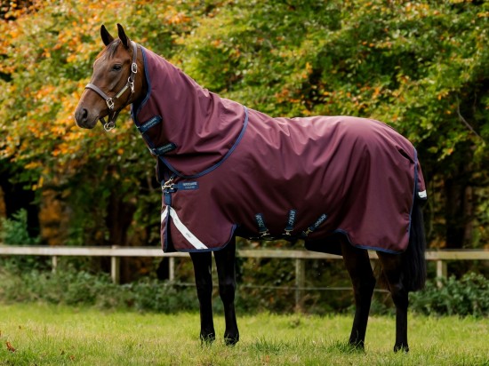 Amigo 1200D Plus 0gr. Burgundy (inclusief hals)