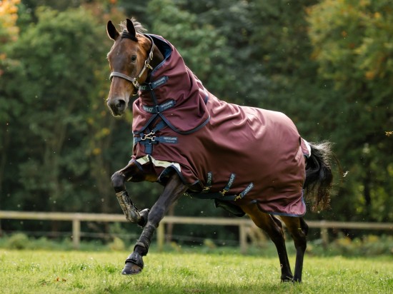 Amigo 1200D Plus 0gr. Burgundy (inclusief hals)