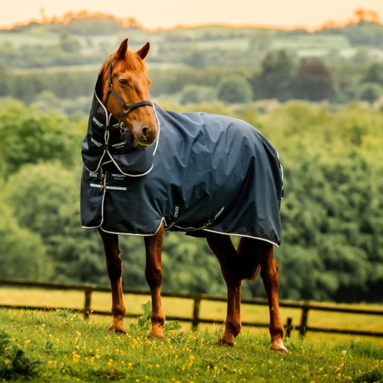 Witney Navy (donkerblauw)