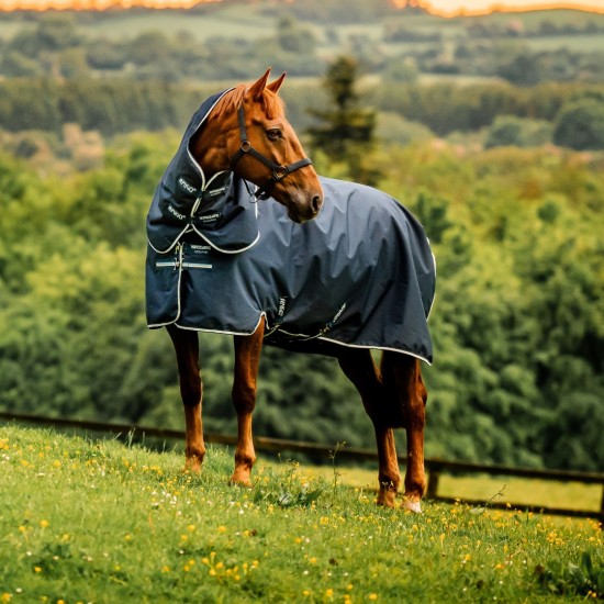 Witney Navy (donkerblauw)