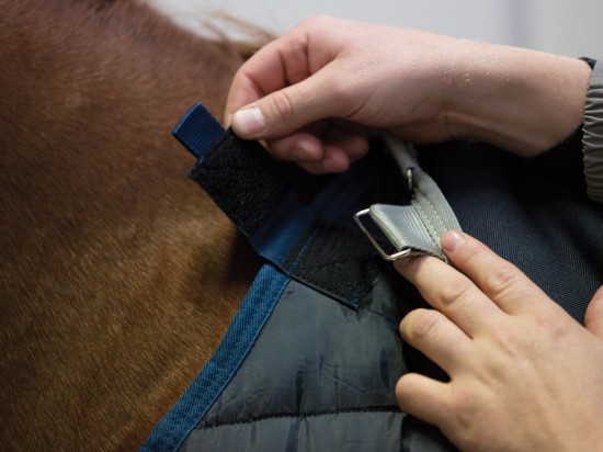 Horseware Pony Liner 100 grams