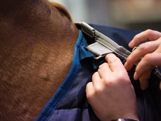 Horseware Pony Liner 100 grams