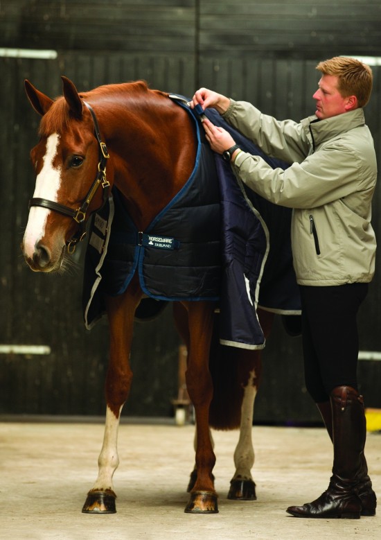 Horseware Liner 300 grams