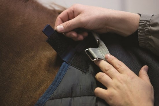 Horseware Liner 200 grams