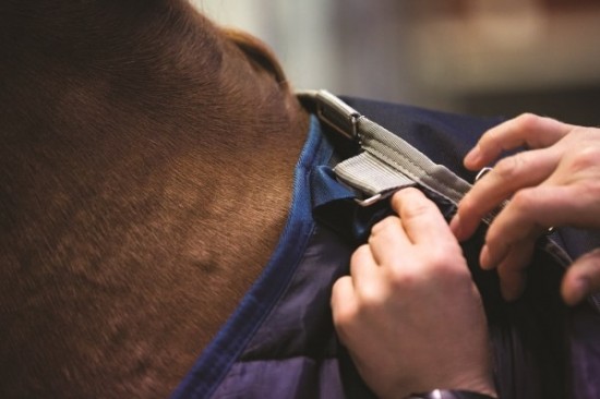 Horseware Liner 200 grams